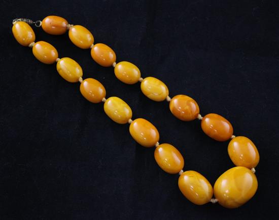 A single strand graduated oval amber bead necklace, 16in.